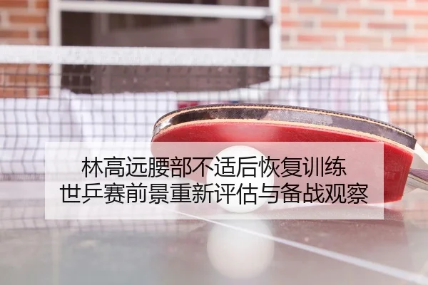 林高远腰部不适后恢复训练 世乒赛前景重新评估与备战观察
